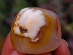 Polished Small Flower Agate Free Forms x 49 From Antsahalova, Madagascar - Toprock Gemstones and Minerals 