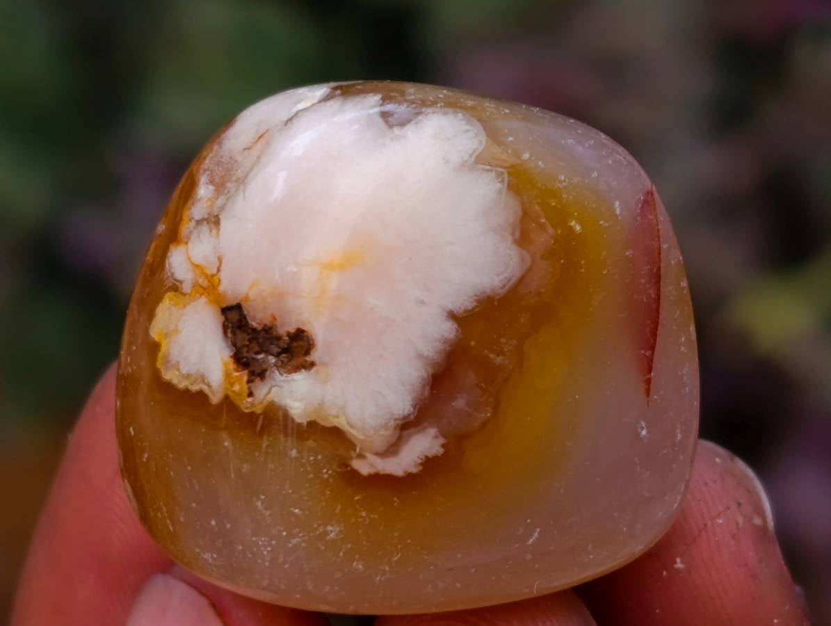 Polished Small Flower Agate Free Forms x 49 From Antsahalova, Madagascar - Toprock Gemstones and Minerals 