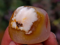 Polished Small Flower Agate Free Forms x 49 From Antsahalova, Madagascar