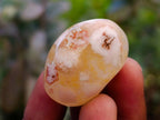 Polished Small Flower Agate Free Forms x 49 From Antsahalova, Madagascar - Toprock Gemstones and Minerals 