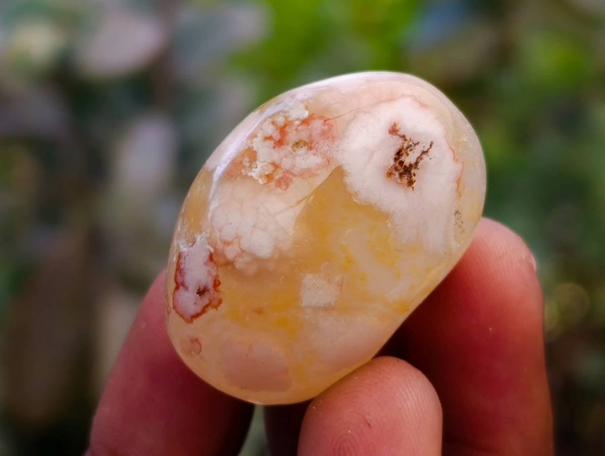 Polished Small Flower Agate Free Forms x 49 From Antsahalova, Madagascar