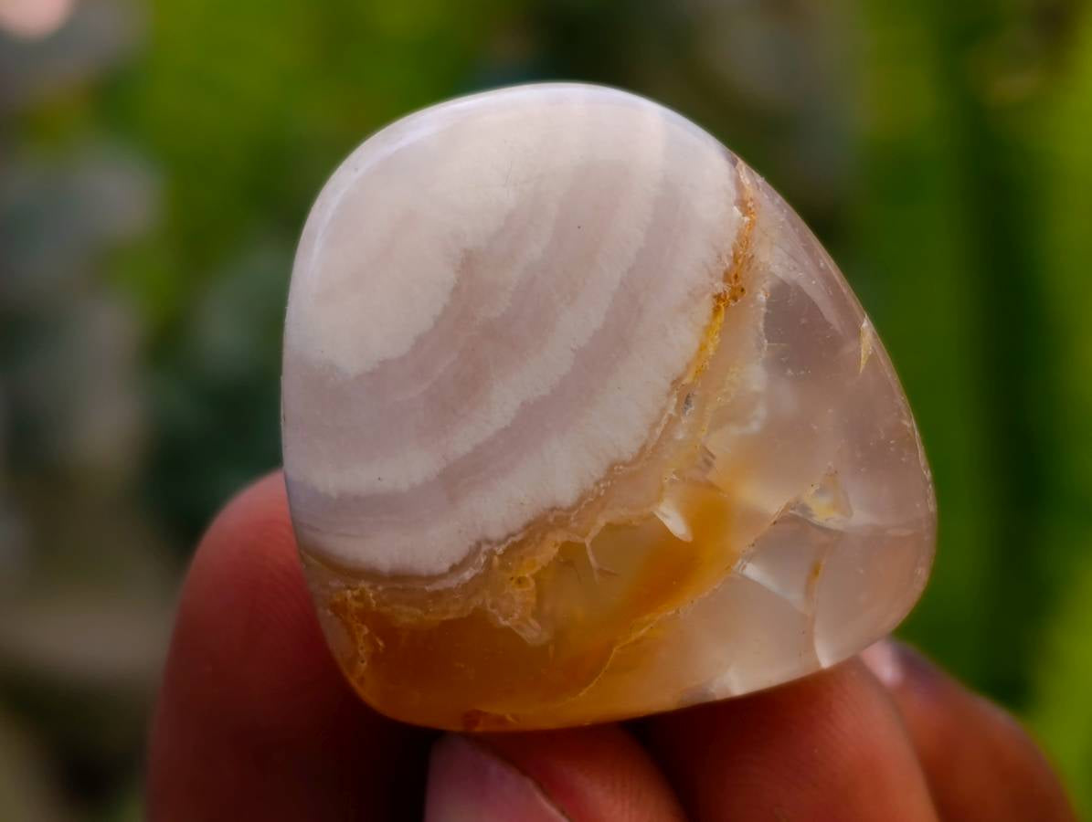 Polished Small Flower Agate Free Forms x 49 From Antsahalova, Madagascar - Toprock Gemstones and Minerals 