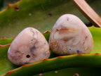 Polished Small Flower Agate Free Forms x 49 From Antsahalova, Madagascar - Toprock Gemstones and Minerals 