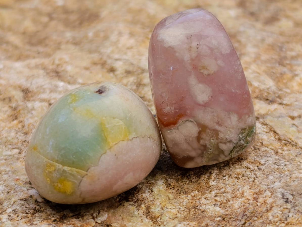 Polished Small Flower Agate Free Forms x 49 From Antsahalova, Madagascar - Toprock Gemstones and Minerals 