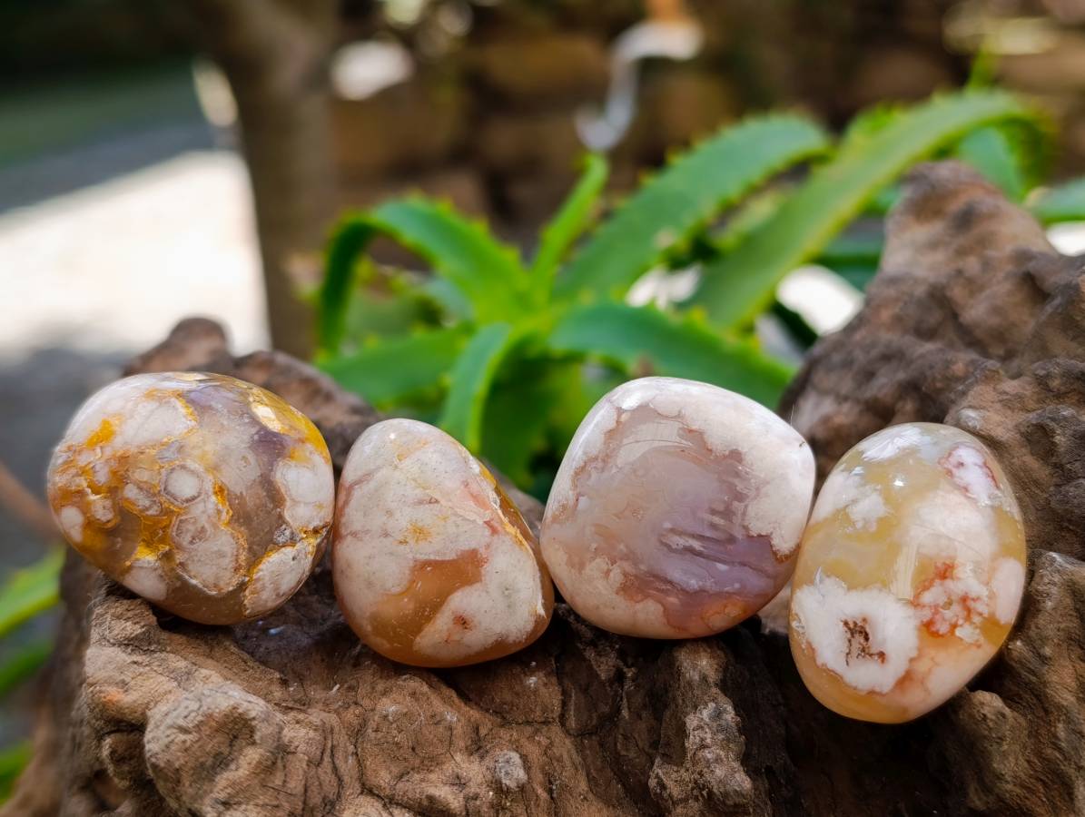 Polished Small Flower Agate Free Forms x 49 From Antsahalova, Madagascar - Toprock Gemstones and Minerals 