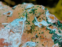 Natural Drusy Coated Chrysocolla On Dolomite Specimens x 4 From Likasi, Congo