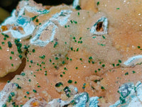 Natural Drusy Coated Chrysocolla On Dolomite Specimens x 4 From Likasi, Congo