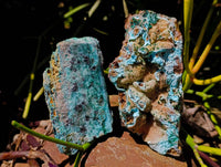Natural Drusy Coated Chrysocolla On Dolomite Specimens x 4 From Likasi, Congo