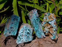 Natural Drusy Coated Chrysocolla On Dolomite Specimens x 4 From Likasi, Congo