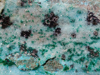 Natural Drusy Coated Chrysocolla On Dolomite Specimens x 4 From Likasi, Congo