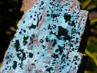 Natural Drusy Coated Chrysocolla On Dolomite Specimens x 4 From Likasi, Congo