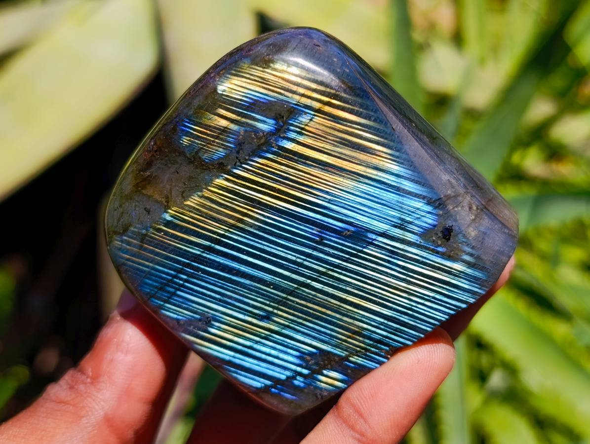 Polished Labradorite Standing Free Forms x 6 From Tulear, Madagascar