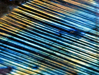 Polished Labradorite Standing Free Forms x 6 From Tulear, Madagascar