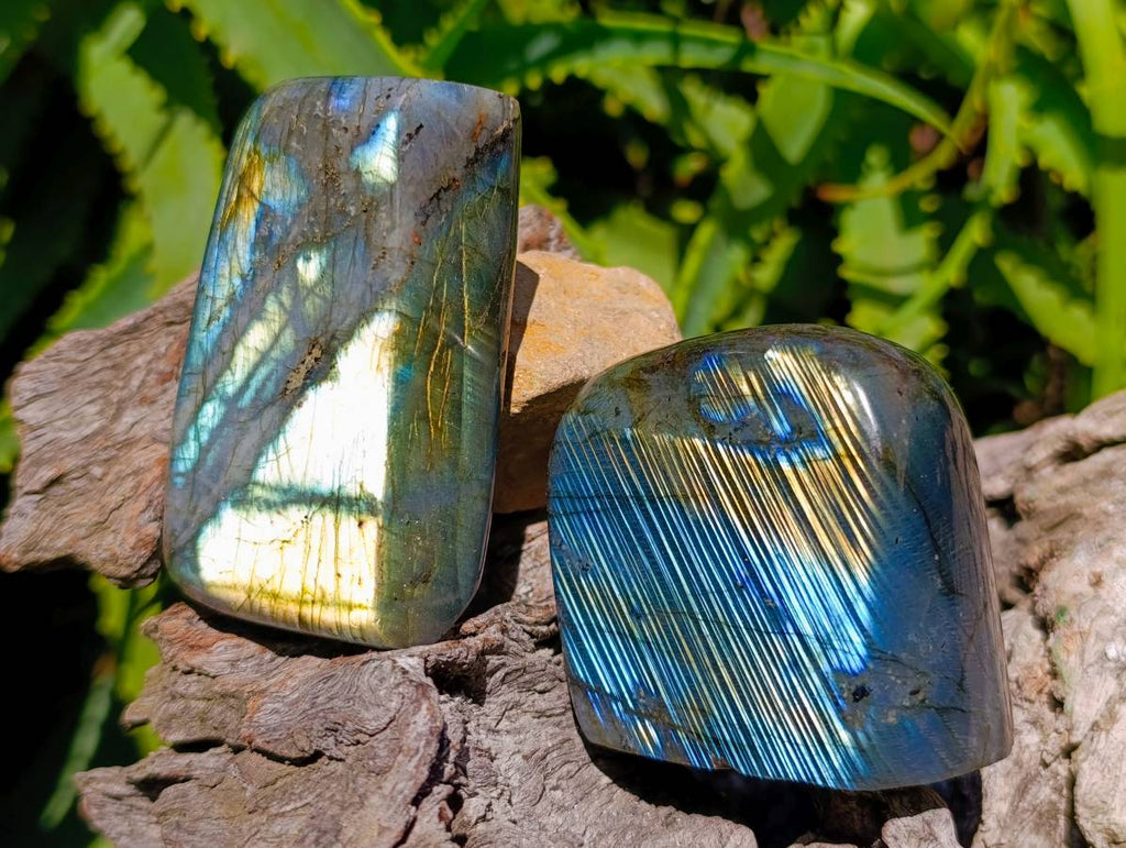 Polished Labradorite Standing Free Forms x 6 From Tulear, Madagascar