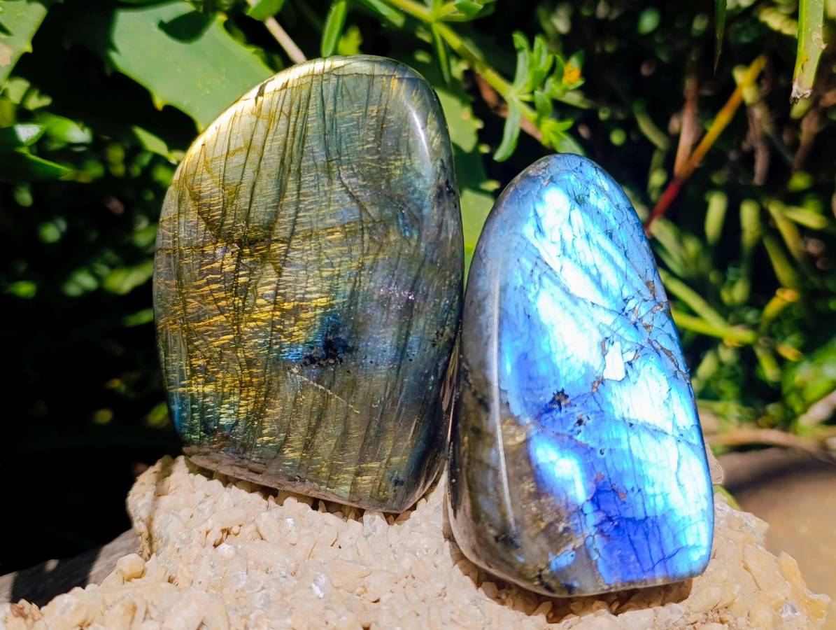 Polished Labradorite Standing Free Forms x 6 From Tulear, Madagascar