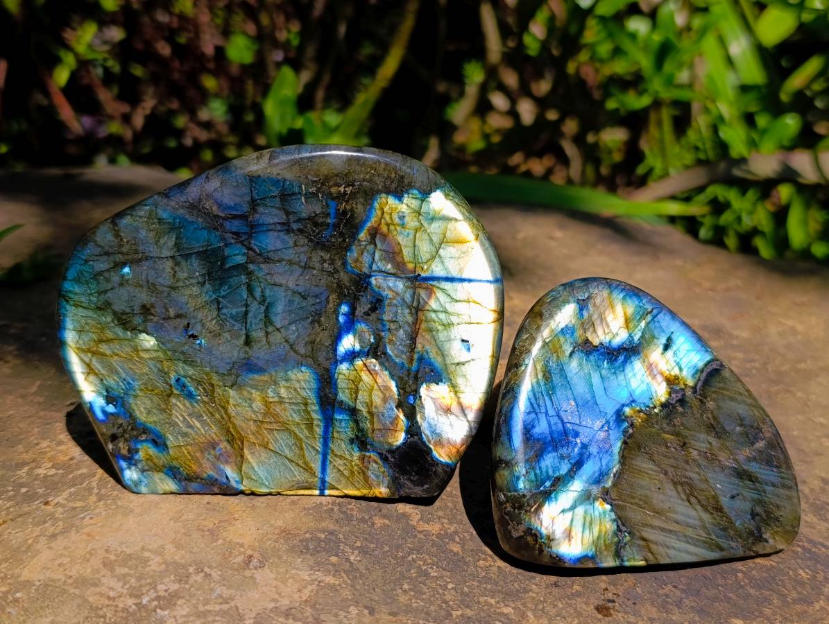 Polished Labradorite Standing Free Forms x 6 From Tulear, Madagascar