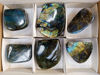 Polished Labradorite Standing Free Forms x 6 From Tulear, Madagascar