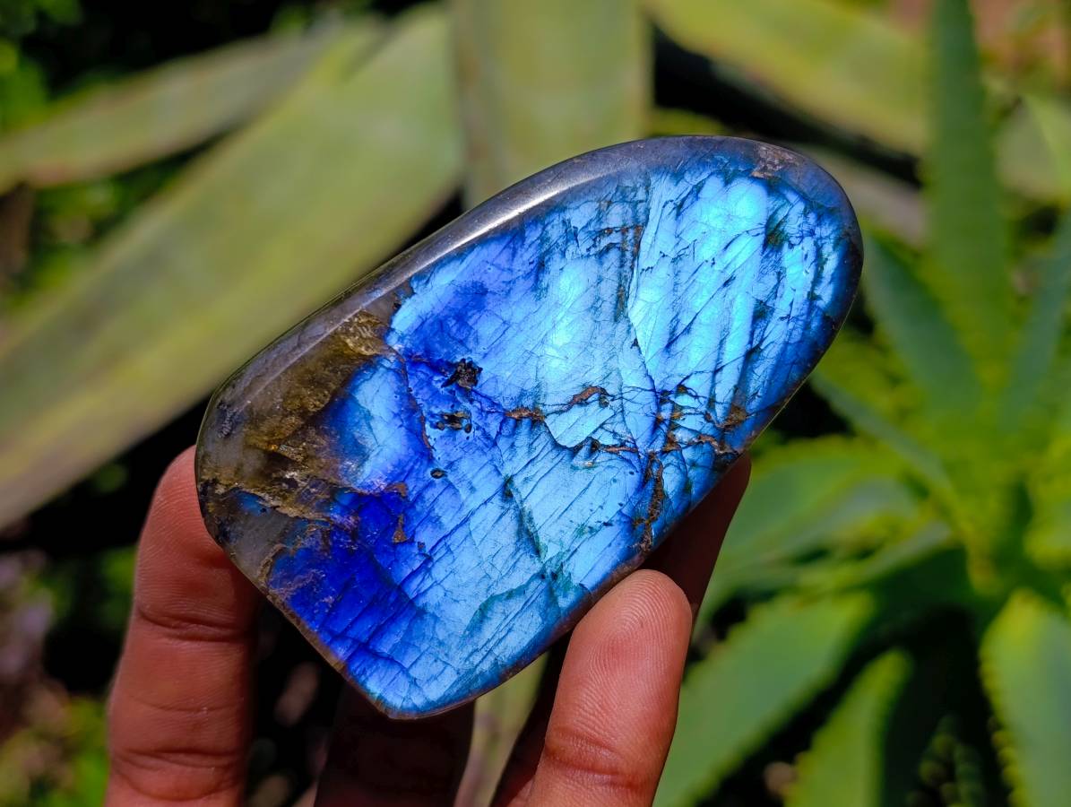 Polished Labradorite Standing Free Forms x 6 From Tulear, Madagascar