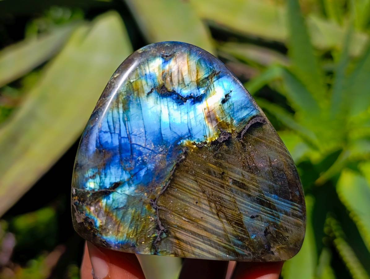 Polished Labradorite Standing Free Forms x 6 From Tulear, Madagascar