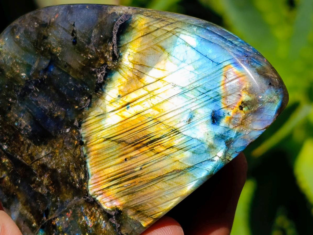 Polished Labradorite Standing Free Forms x 6 From Tulear, Madagascar