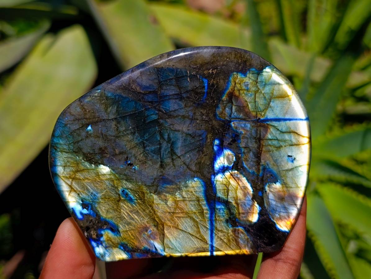Polished Labradorite Standing Free Forms x 6 From Tulear, Madagascar