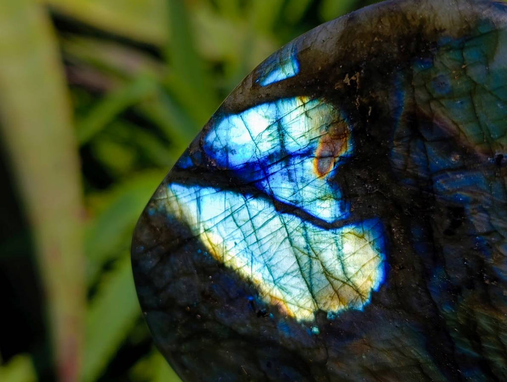 Polished Labradorite Standing Free Forms x 6 From Tulear, Madagascar