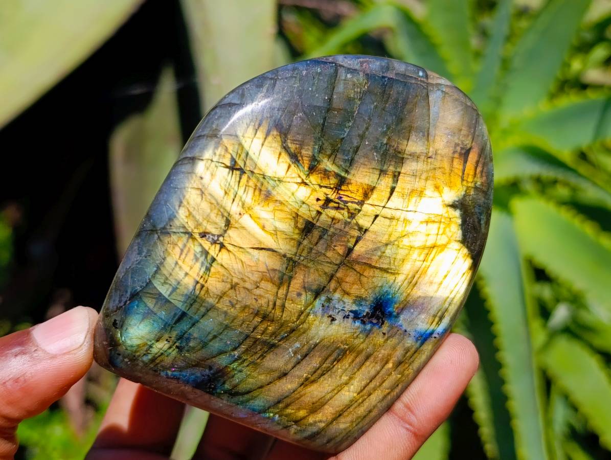 Polished Labradorite Standing Free Forms x 6 From Tulear, Madagascar
