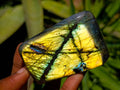 Polished Labradorite Standing Free Forms x 6 From Tulear, Madagascar