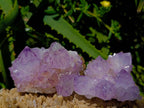 Natural Sunburst Amethyst Spirit Clusters x 12 From Boekenhouthoek, South Africa