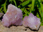 Natural Sunburst Amethyst Spirit Clusters x 12 From Boekenhouthoek, South Africa