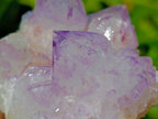 Natural Sunburst Amethyst Spirit Clusters x 12 From Boekenhouthoek, South Africa