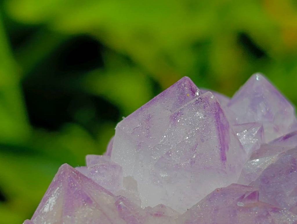 Natural Sunburst Amethyst Spirit Clusters x 12 From Boekenhouthoek, South Africa