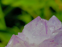 Natural Sunburst Amethyst Spirit Clusters x 12 From Boekenhouthoek, South Africa