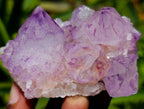 Natural Sunburst Amethyst Spirit Clusters x 12 From Boekenhouthoek, South Africa