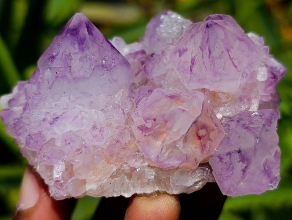 Natural Sunburst Amethyst Spirit Clusters x 12 From Boekenhouthoek, South Africa