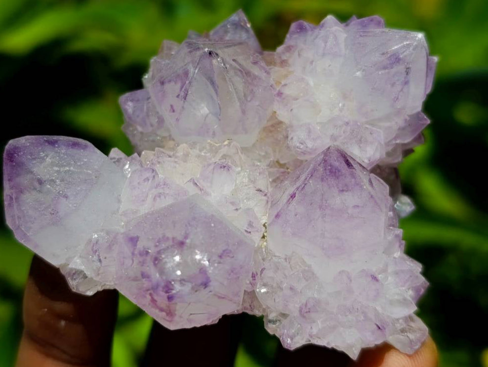 Natural Sunburst Amethyst Spirit Clusters x 12 From Boekenhouthoek, South Africa
