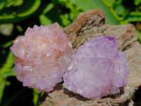 Natural Sunburst Amethyst Spirit Clusters x 12 From Boekenhouthoek, South Africa