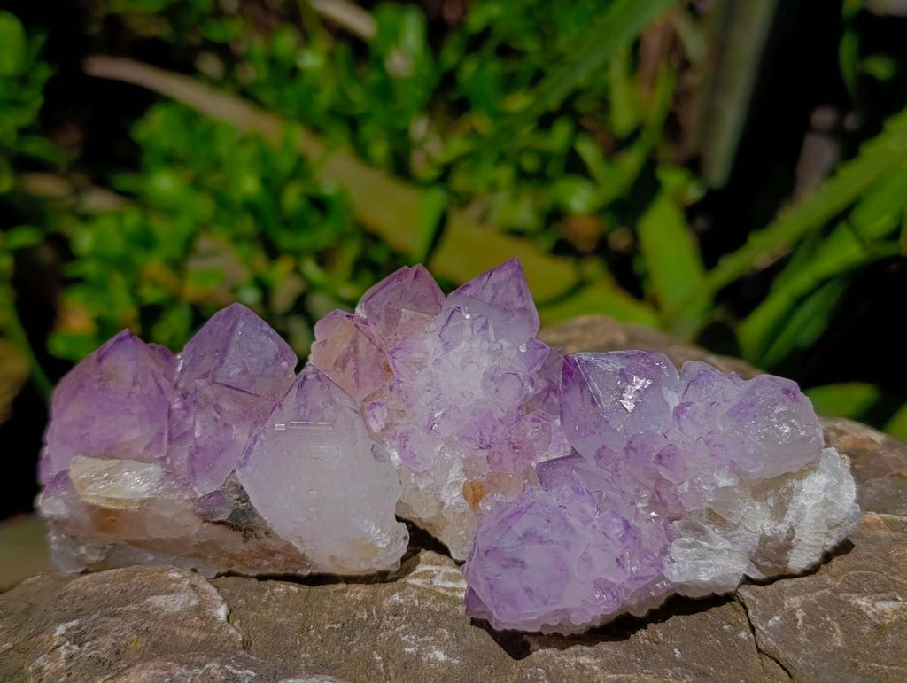Natural Sunburst Amethyst Spirit Clusters x 12 From Boekenhouthoek, South Africa