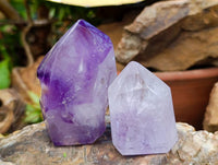 Polished Window Amethyst Crystals x 6 From Akansobe, Madagascar