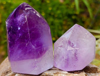 Polished Window Amethyst Crystals x 6 From Akansobe, Madagascar