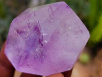 Polished Window Amethyst Crystals x 6 From Akansobe, Madagascar