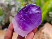 Polished Window Amethyst Crystals x 6 From Akansobe, Madagascar