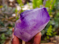 Polished Window Amethyst Crystals x 6 From Akansobe, Madagascar
