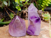 Polished Window Amethyst Crystals x 6 From Akansobe, Madagascar