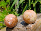 Polished Peach Moonstone Spheres x 6 From Madagascar