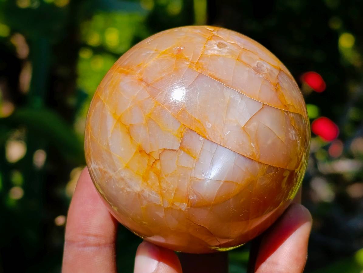 Polished Peach Moonstone Spheres x 6 From Madagascar
