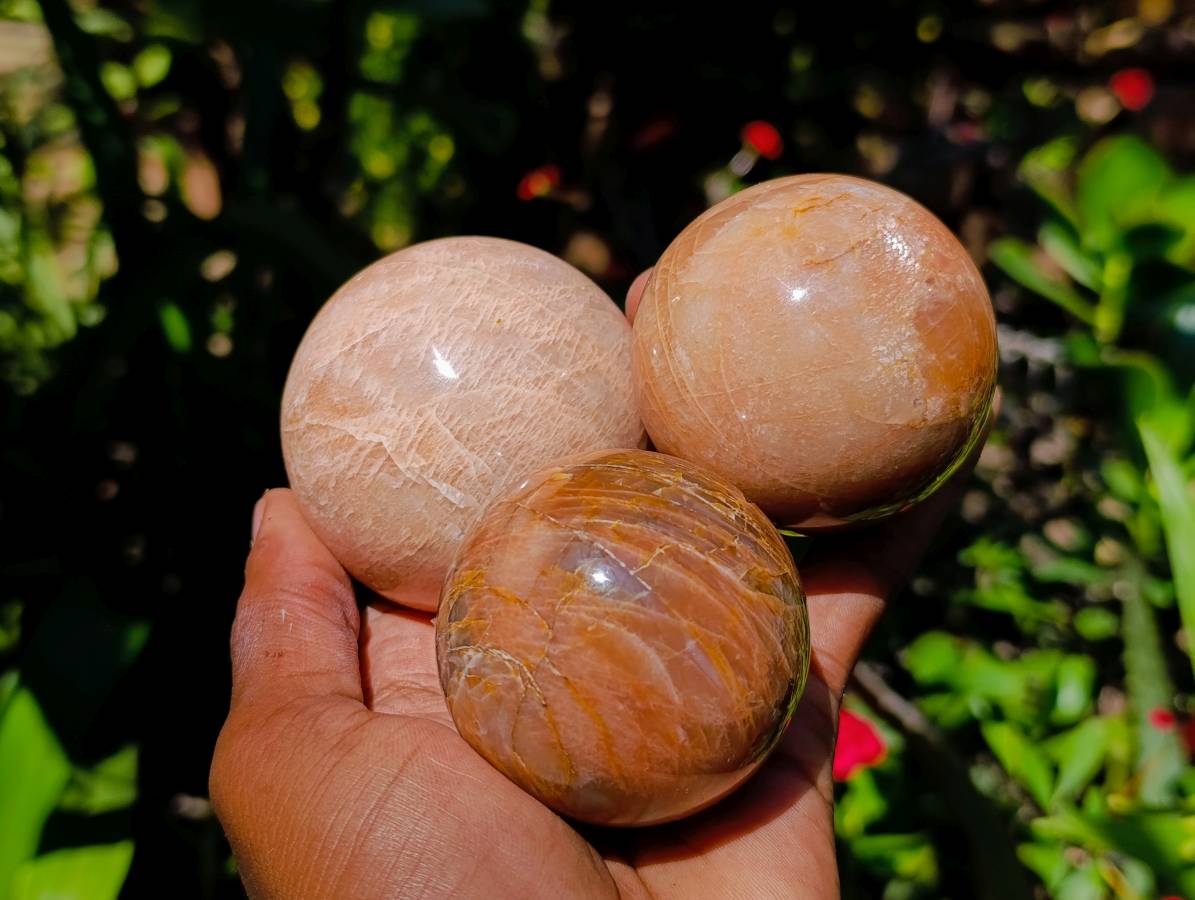 Polished Peach Moonstone Spheres x 6 From Madagascar