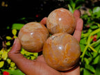 Polished Peach Moonstone Spheres x 6 From Madagascar