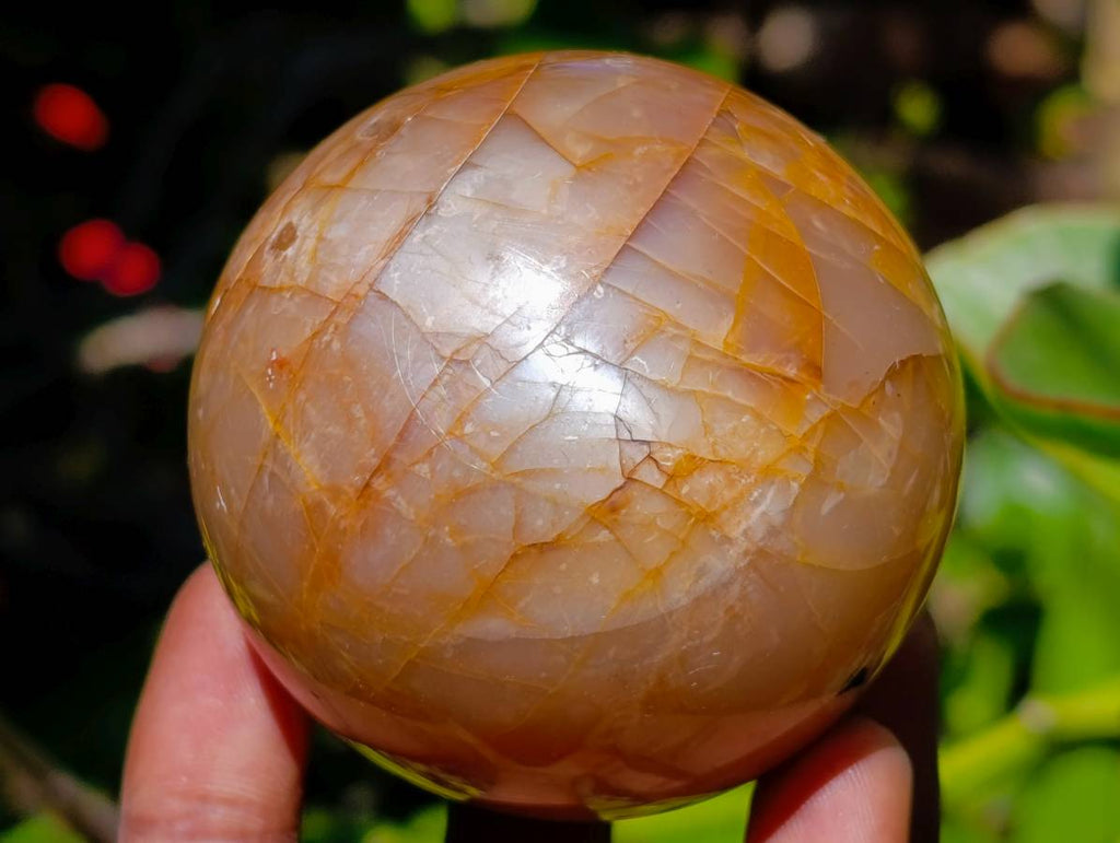 Polished Peach Moonstone Spheres x 6 From Madagascar