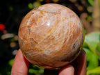Polished Peach Moonstone Spheres x 6 From Madagascar